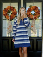 Paige Stripe Zip Up Dress