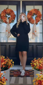 Ava Turtle Neck Sweater Dress
