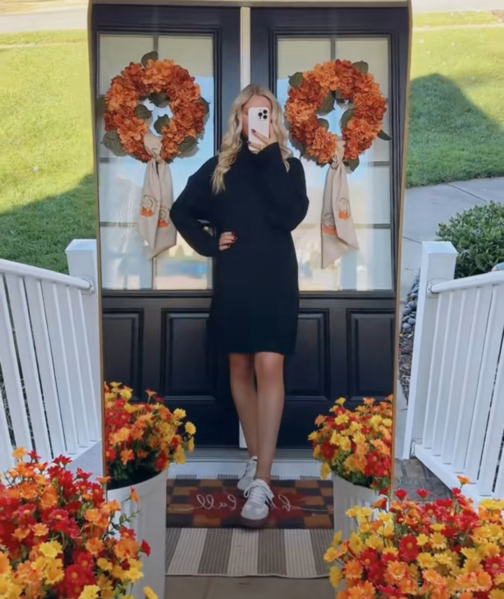 Ava Turtle Neck Sweater Dress